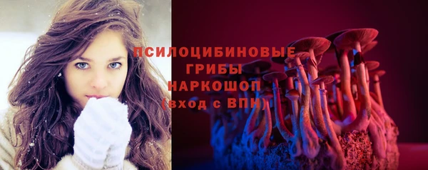гашик Абаза