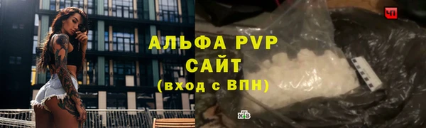 гашик Абаза