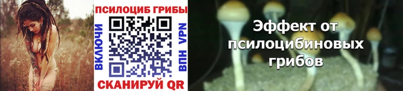 где купить   Иркутск  Галлюциногенные грибы Cubensis 